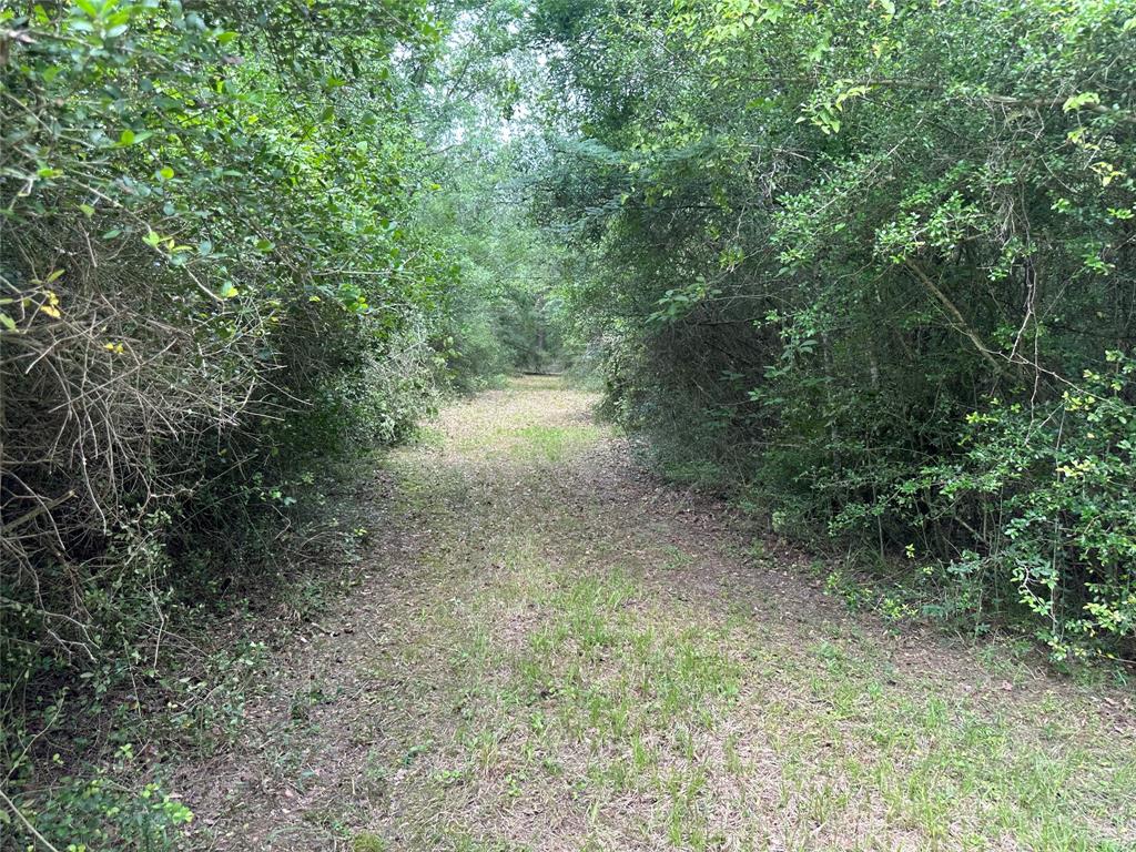 TBD Cr 4120, Crockett, Texas image 13