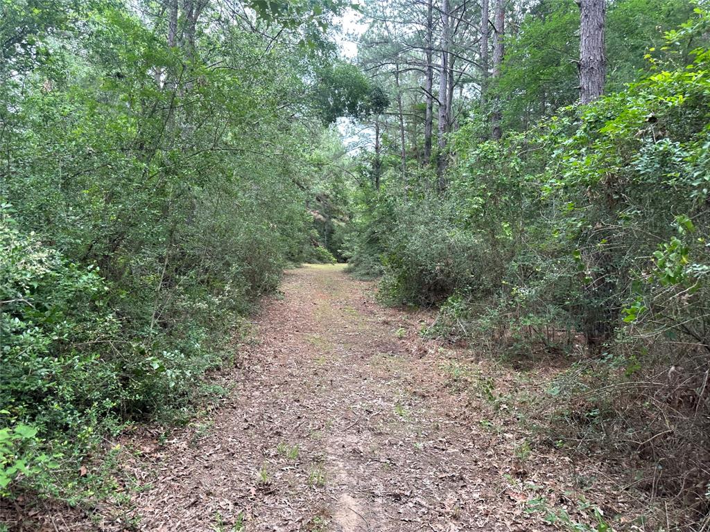 TBD Cr 4120, Crockett, Texas image 11
