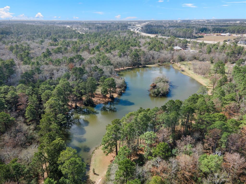 1319 Allison Meadows Court, Spring, Texas image 42