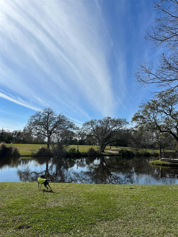 524 Birdsong Drive, League City, Texas image 15