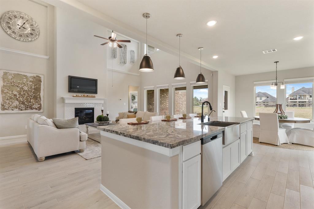 233 Peninsula Point Drive, Montgomery, Texas image 10
