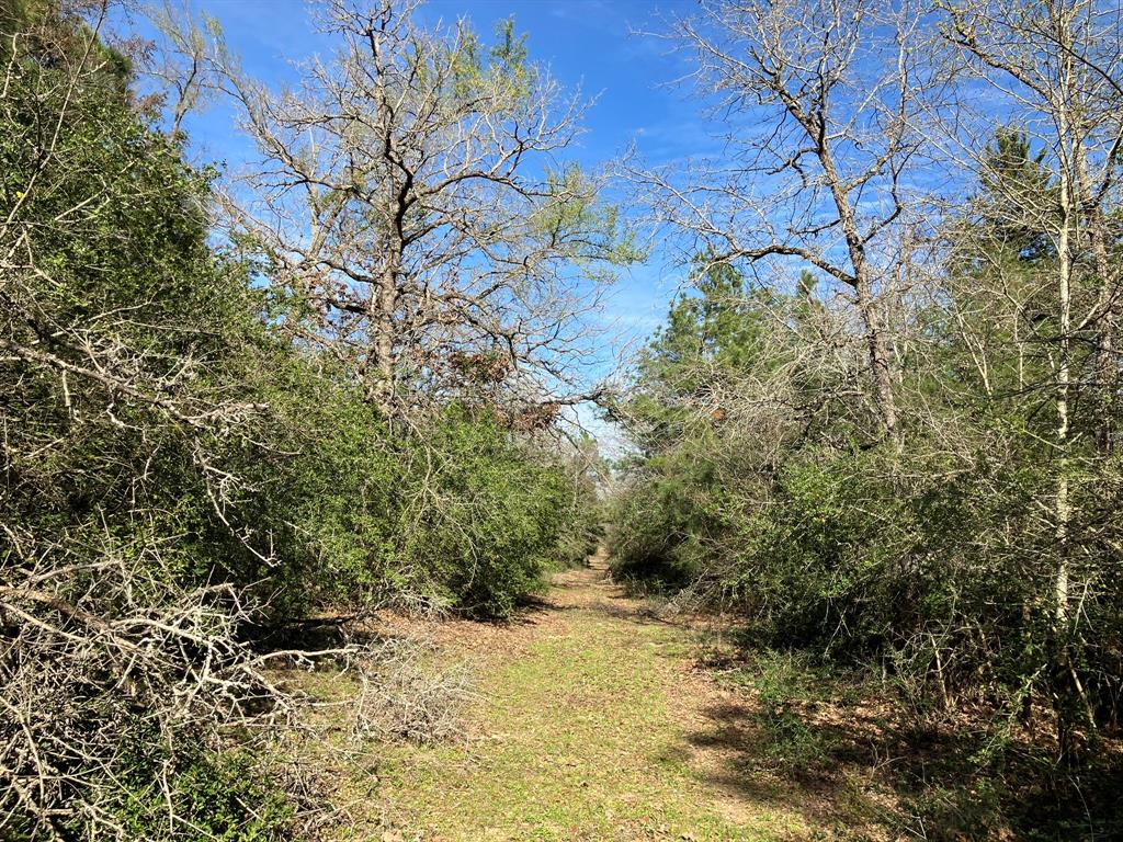 TR32 High View Drive, Oakwood, Texas image 24