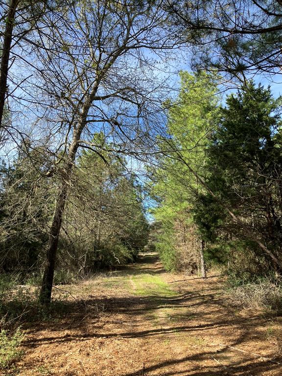 TR32 High View Drive, Oakwood, Texas image 9