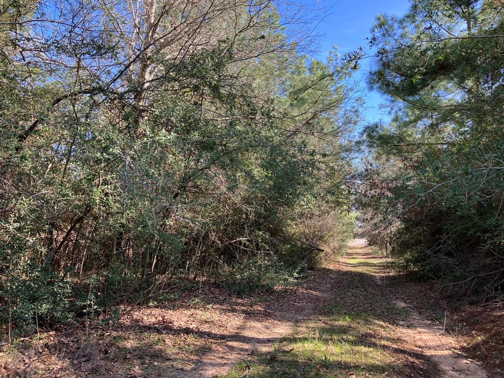 TR32 High View Drive, Oakwood, Texas image 12