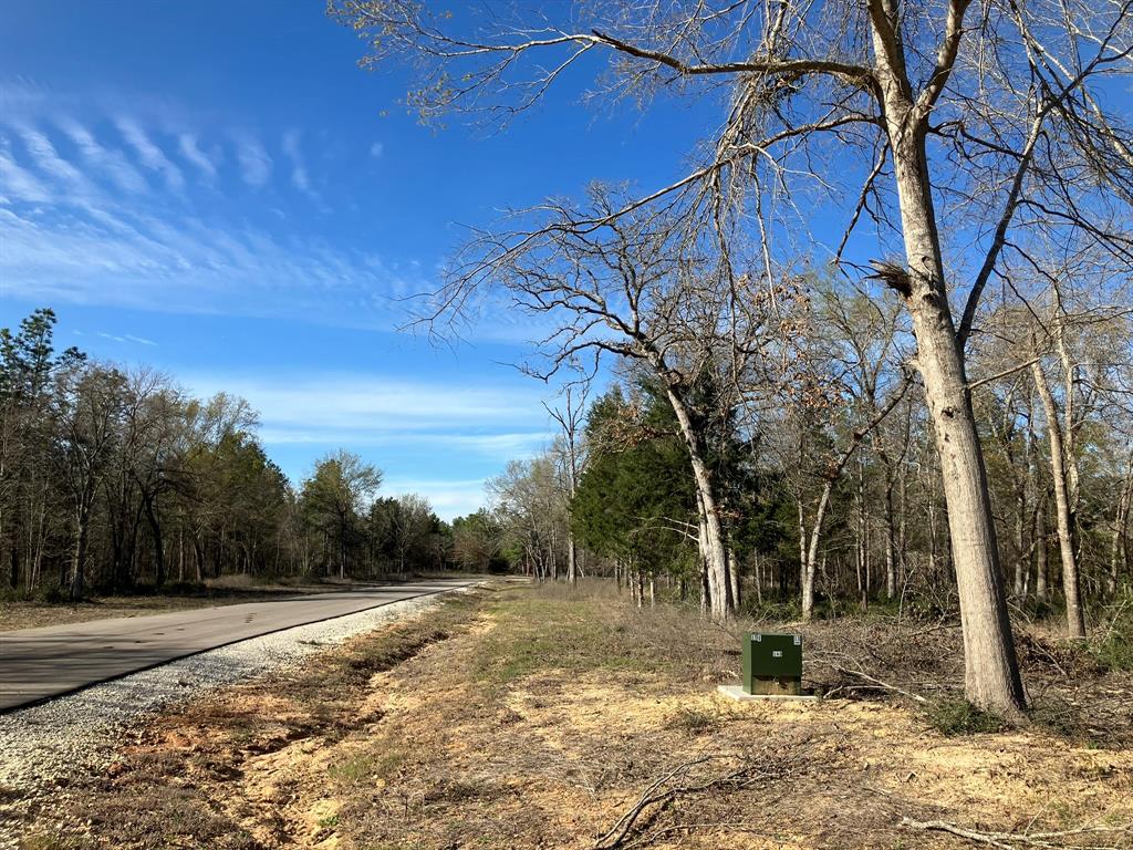 TR32 High View Drive, Oakwood, Texas image 14