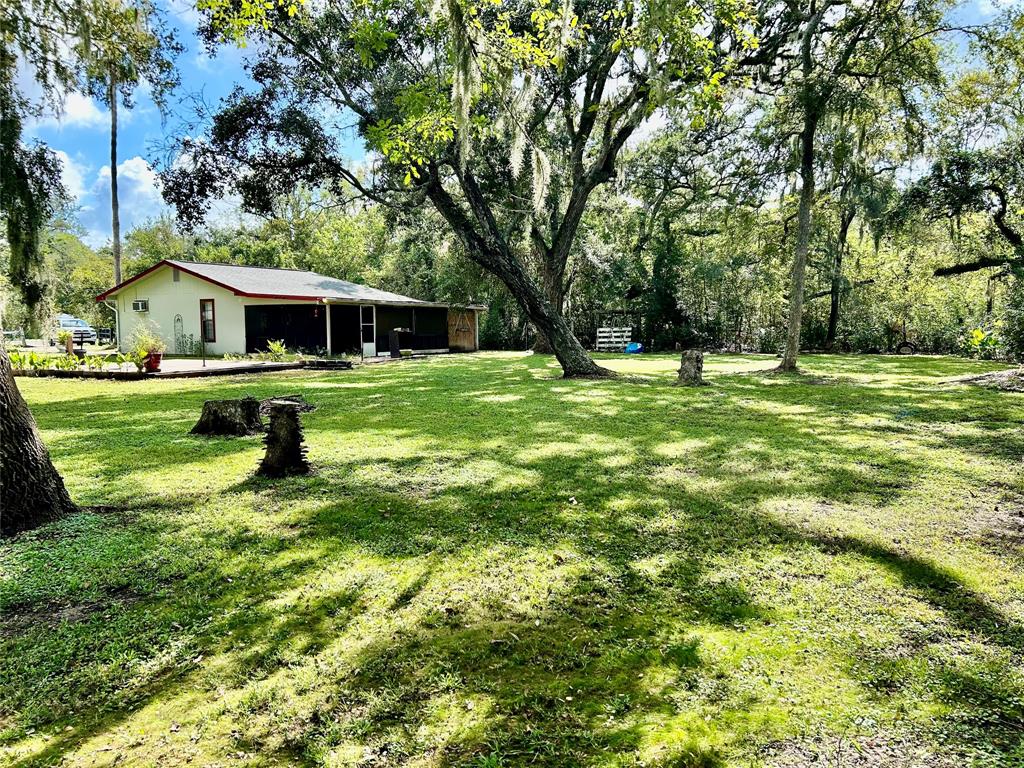 17724 County Road 858, Brazoria, Texas image 1