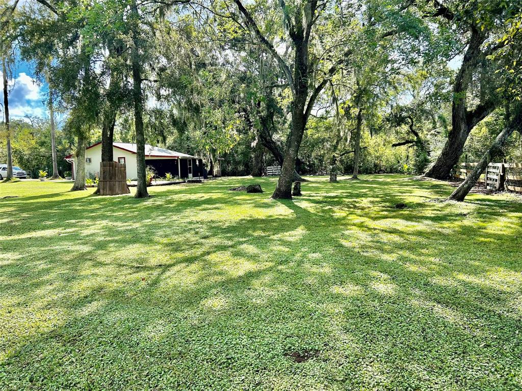 17724 County Road 858, Brazoria, Texas image 14