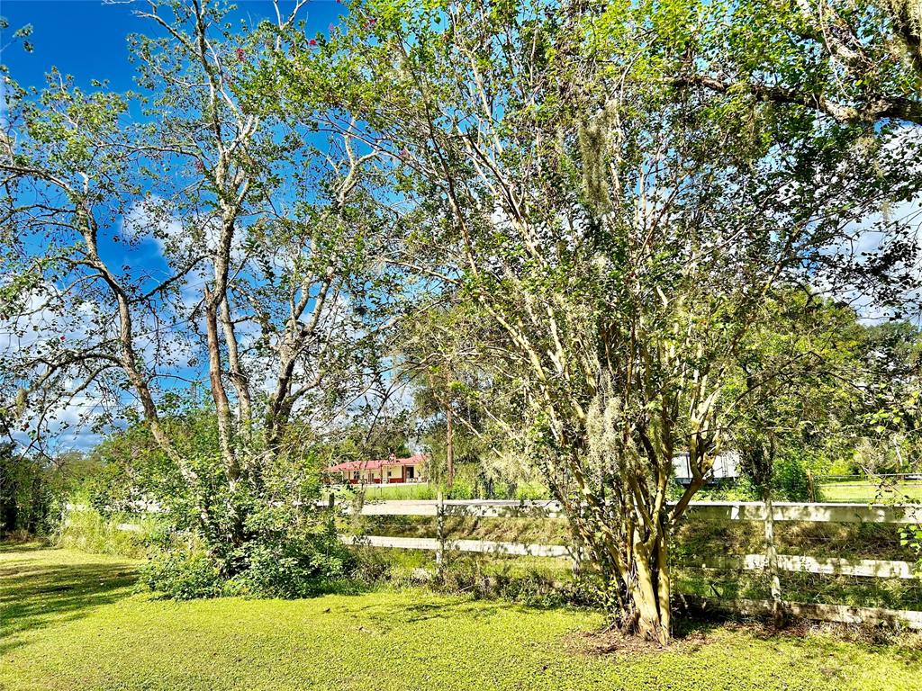 17724 County Road 858, Brazoria, Texas image 17