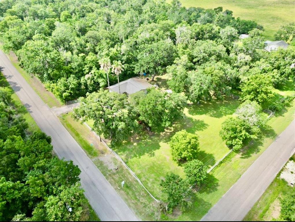 17724 County Road 858, Brazoria, Texas image 34