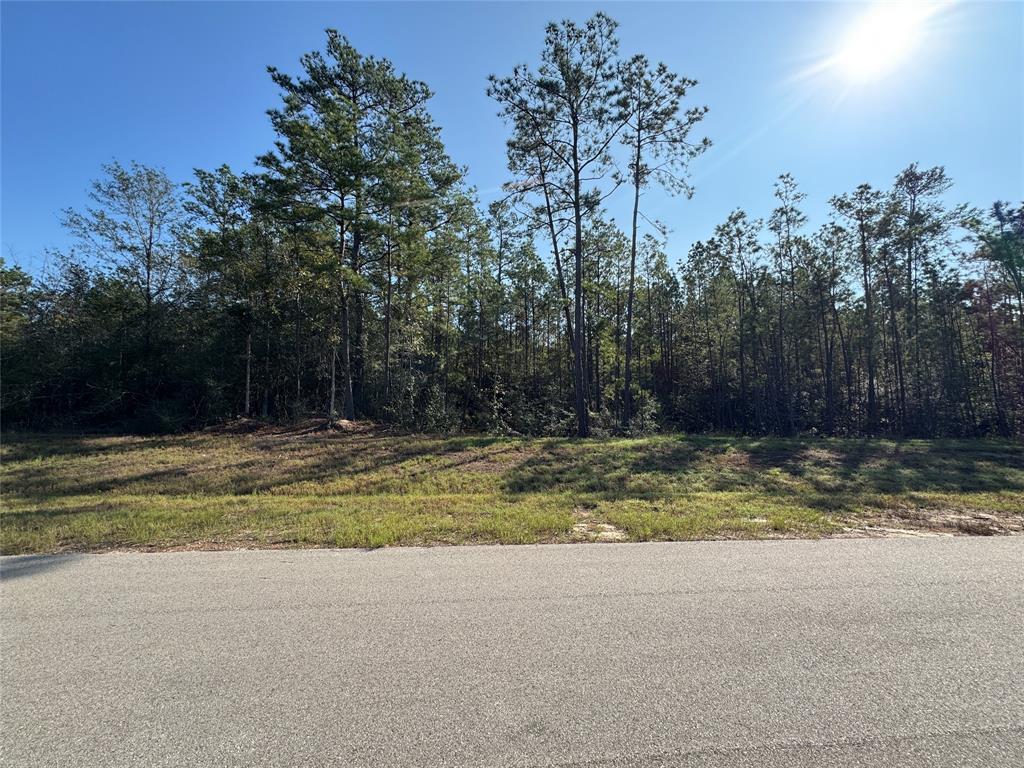 15386 Red Hawk Road, Willis, Texas image 8