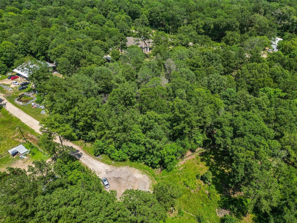 19133 Durham Court, New Caney, Texas image 4