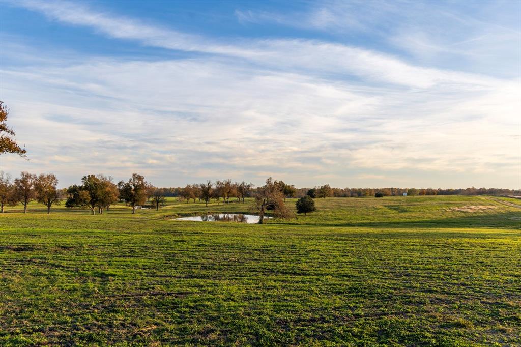 6164 Brazos Bow Way, Washington, Texas image 14