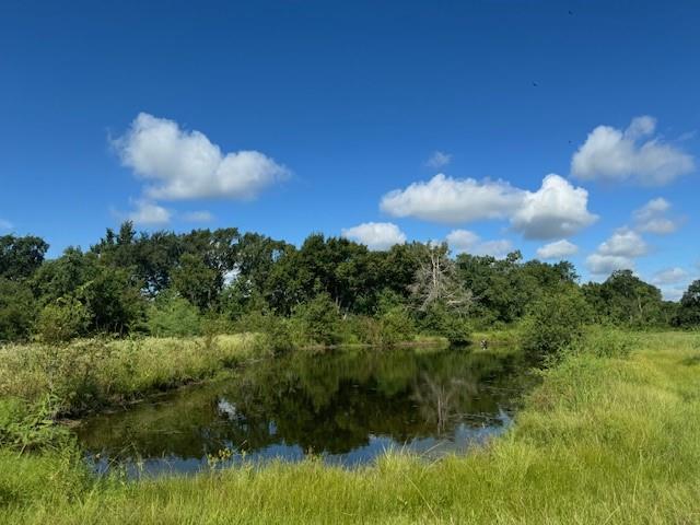 23055 Flukinger Road, Waller, Texas image 17