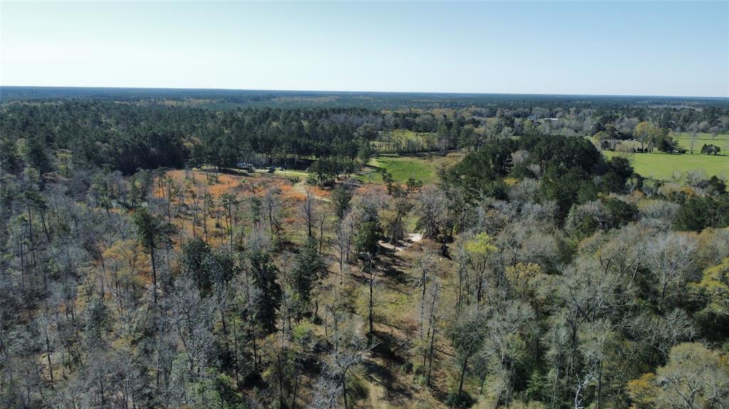 1615 Bob Williams Road, Thicket, Texas image 9