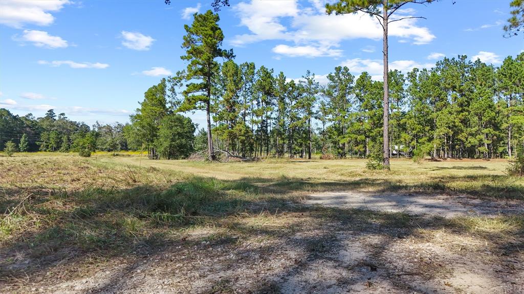 1615 Bob Williams Road, Thicket, Texas image 4