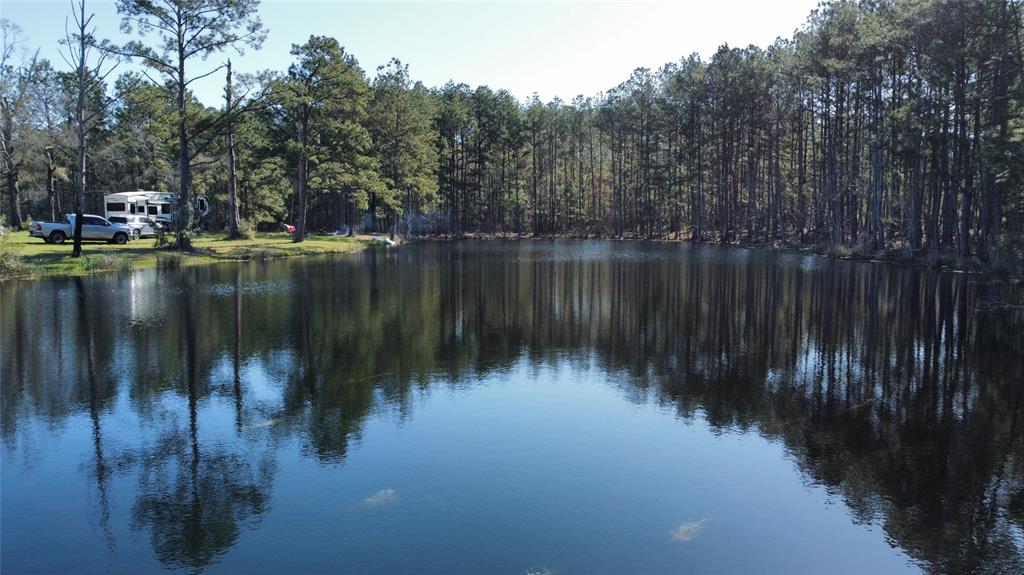 1615 Bob Williams Road, Thicket, Texas image 14