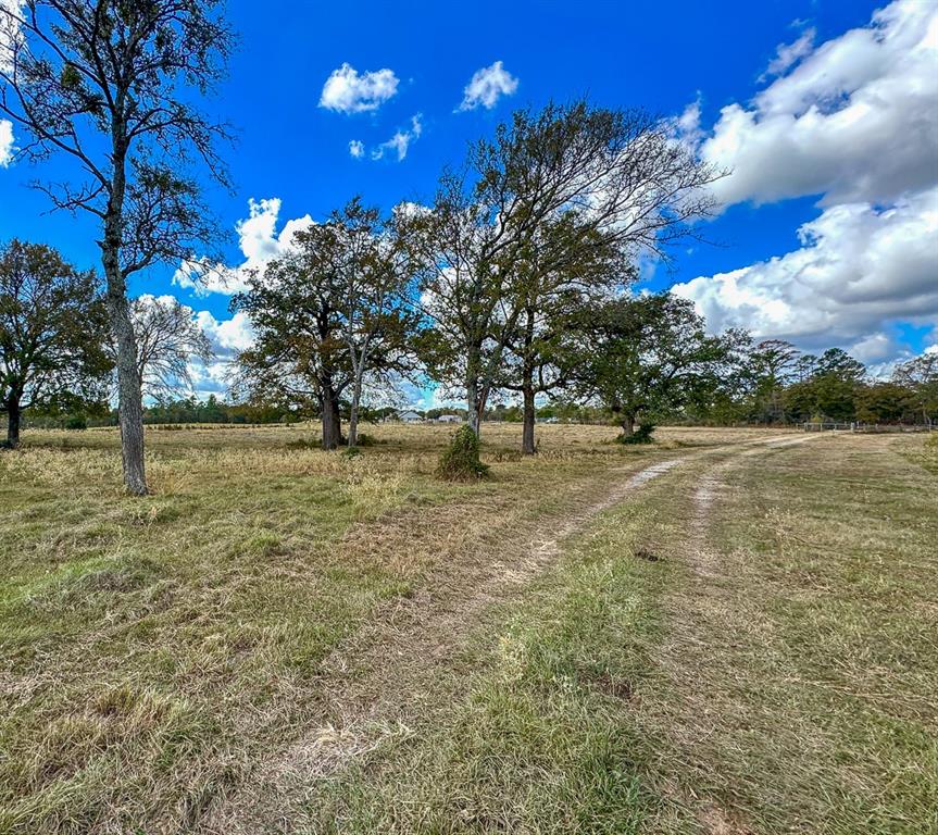 1 Wood Farm Road, Riverside, Texas image 14