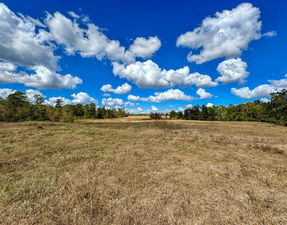 1 Wood Farm Road, Riverside, Texas image 30