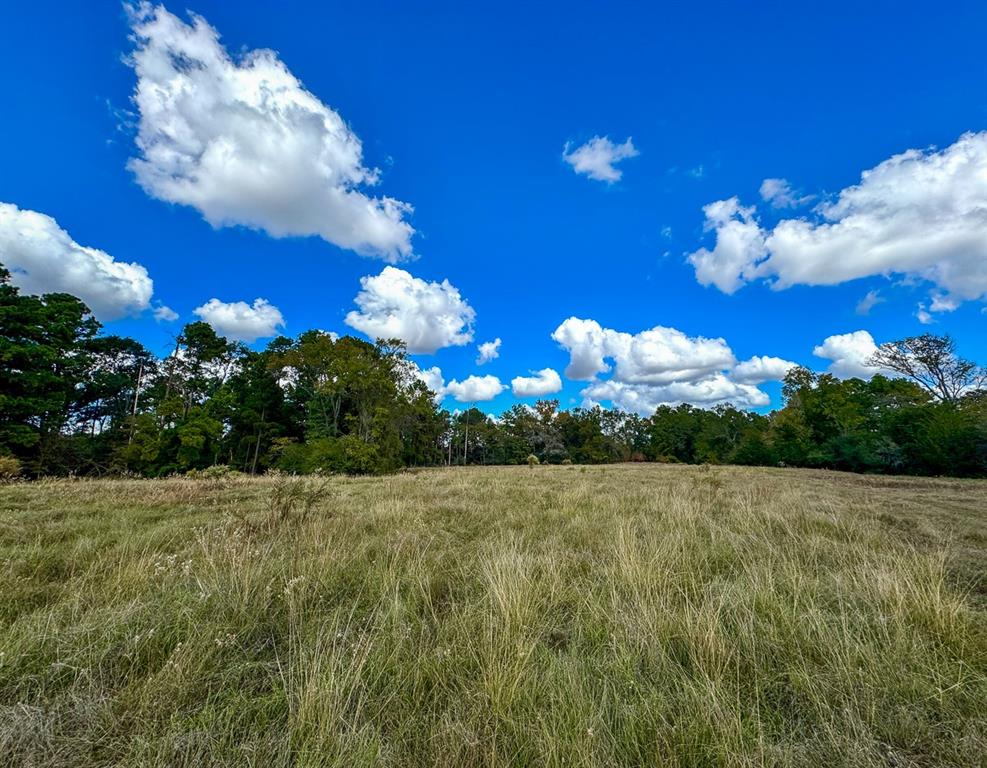 1 Wood Farm Road, Riverside, Texas image 29