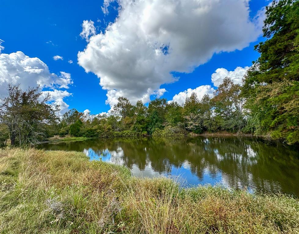 1 Wood Farm Road, Riverside, Texas image 31