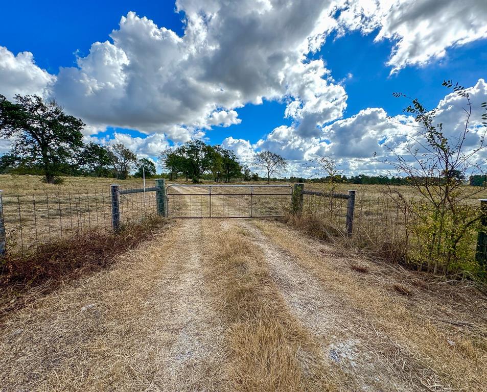 1 Wood Farm Road, Riverside, Texas image 12