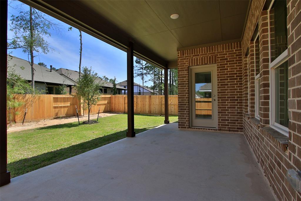 246 Brecon Buff Drive, Willis, Texas image 29