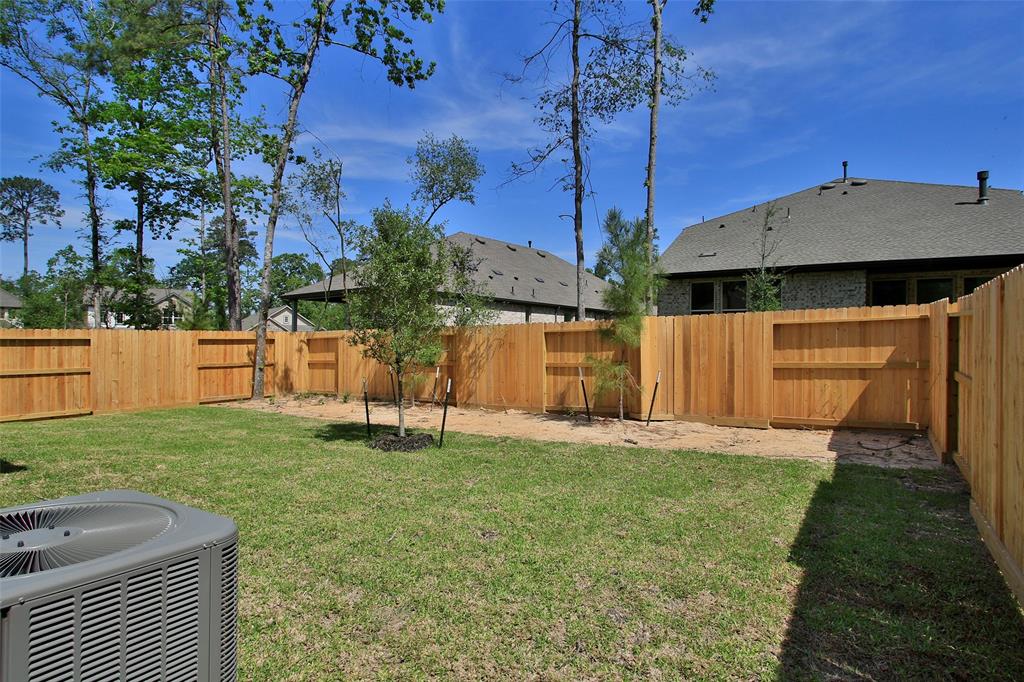 246 Brecon Buff Drive, Willis, Texas image 36