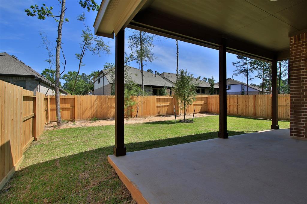 246 Brecon Buff Drive, Willis, Texas image 30