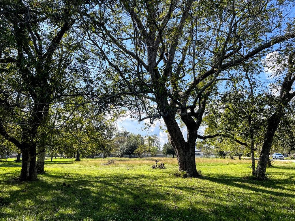 Cougar Drive, Simonton, Texas image 16