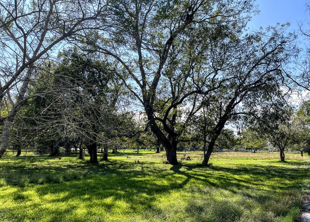 Cougar Drive, Simonton, Texas image 17