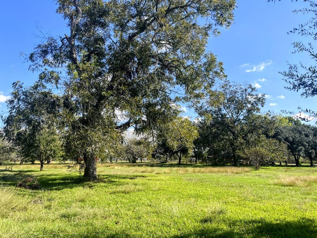 Cougar Drive, Simonton, Texas image 6