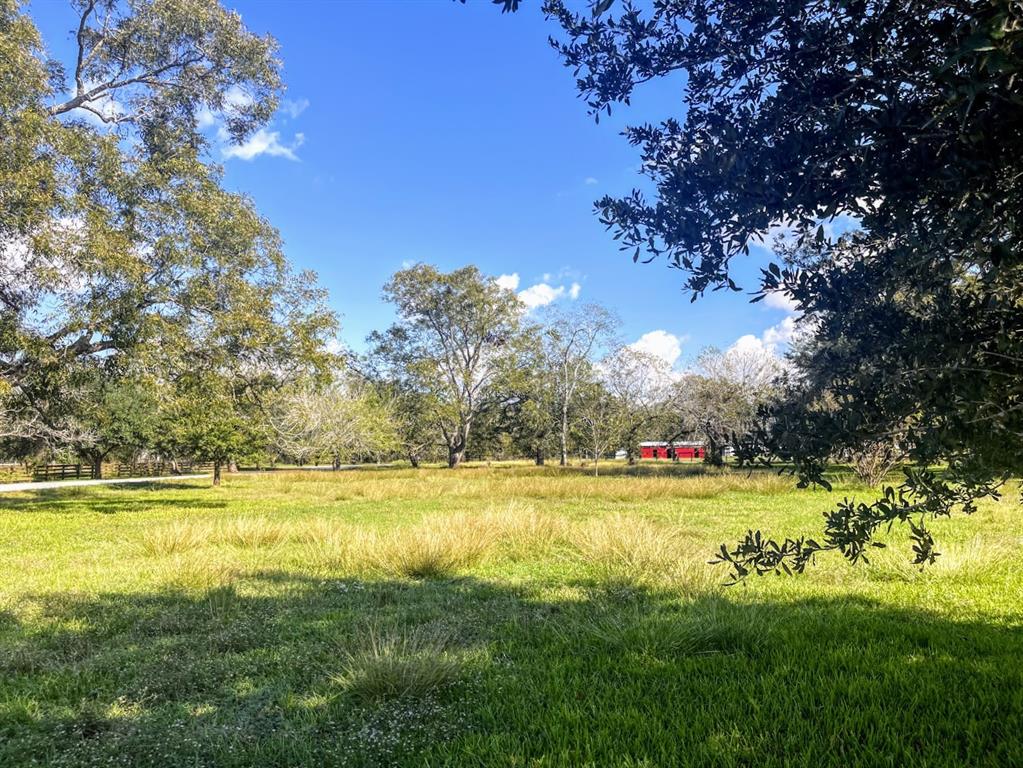 Cougar Drive, Simonton, Texas image 8