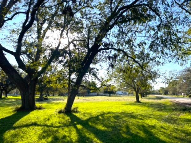 Cougar Drive, Simonton, Texas image 23