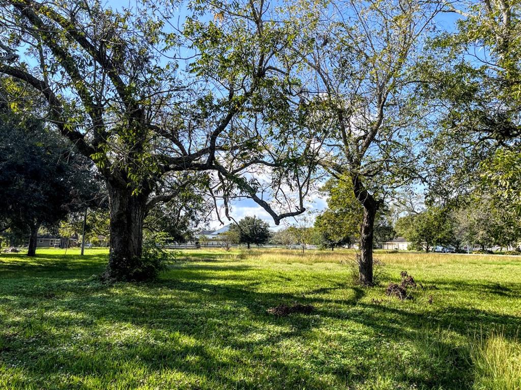 Cougar Drive, Simonton, Texas image 14