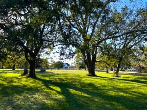 Cougar Drive, Simonton, Texas image 21