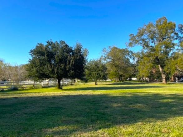 Cougar Drive, Simonton, Texas image 19