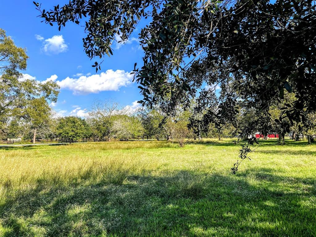 Cougar Drive, Simonton, Texas image 5