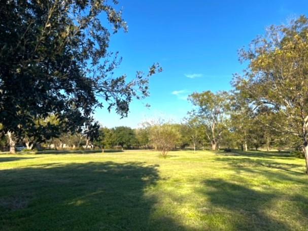 Cougar Drive, Simonton, Texas image 18