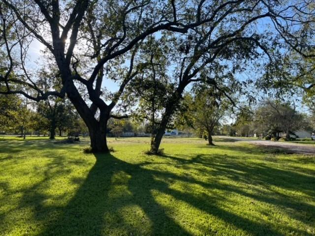 Cougar Drive, Simonton, Texas image 22