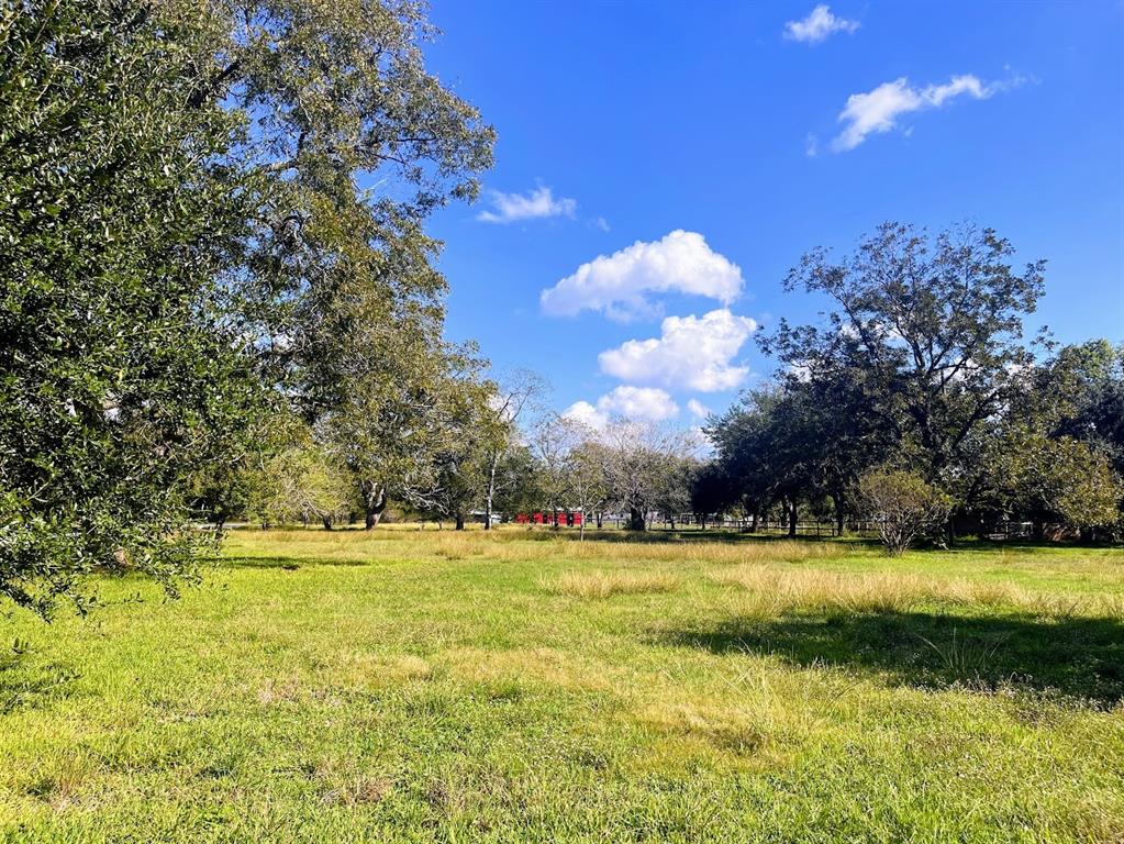 Cougar Drive, Simonton, Texas image 7