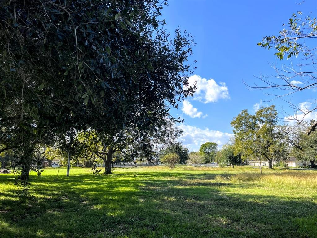 Cougar Drive, Simonton, Texas image 13