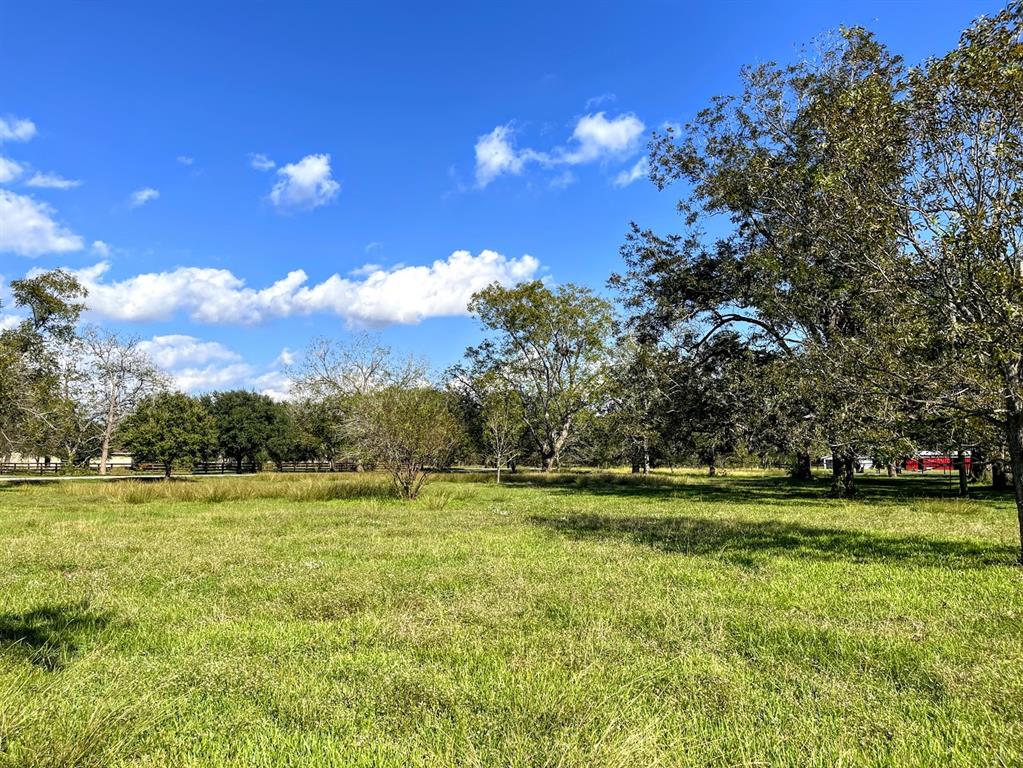 Cougar Drive, Simonton, Texas image 9