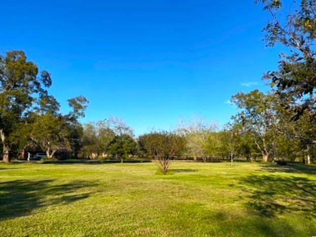 Cougar Drive, Simonton, Texas image 4