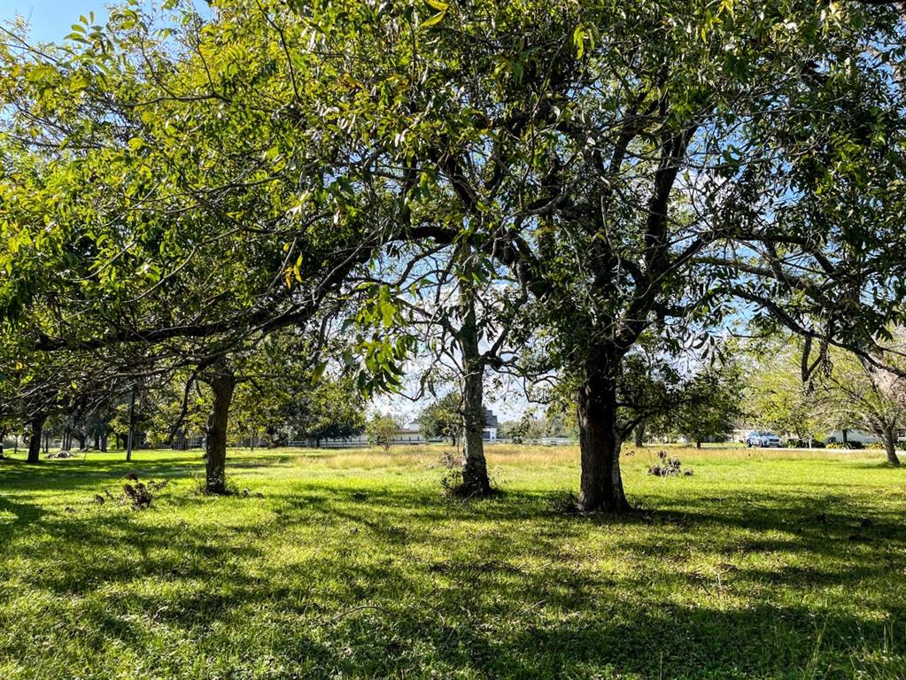 Cougar Drive, Simonton, Texas image 15