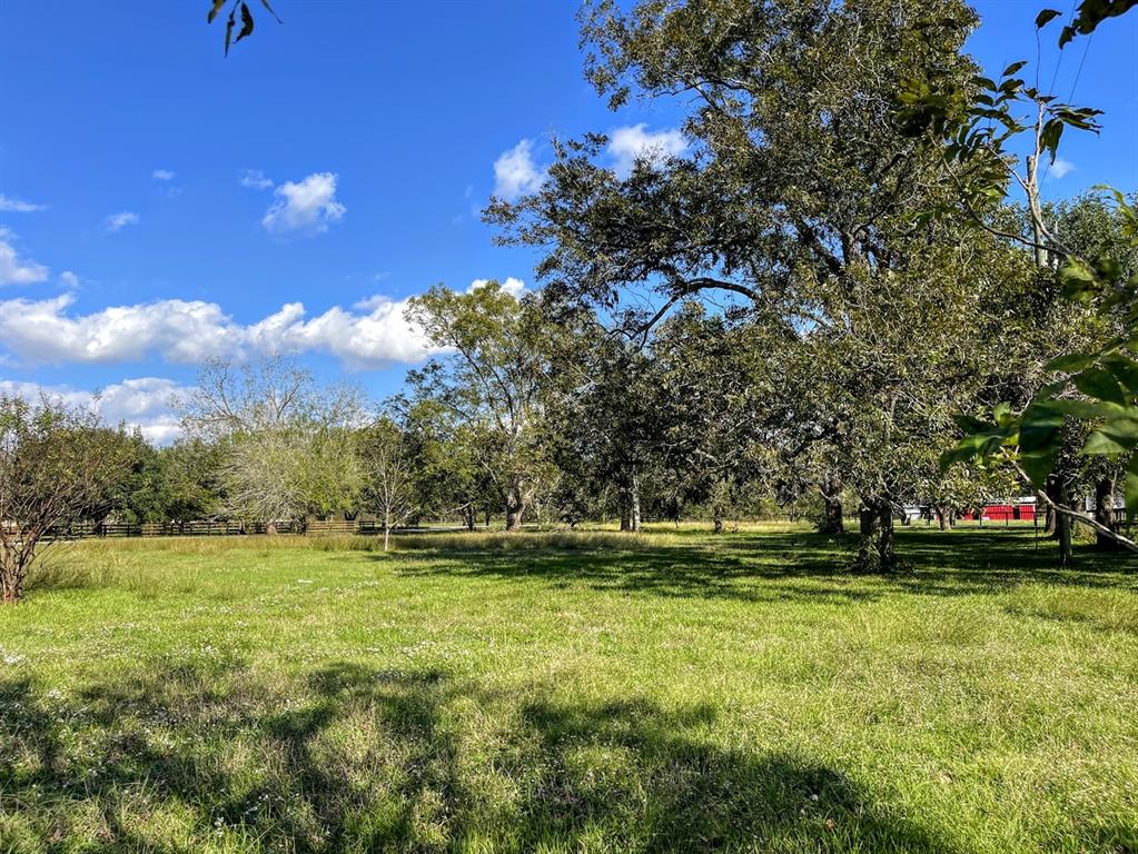 Cougar Drive, Simonton, Texas image 10