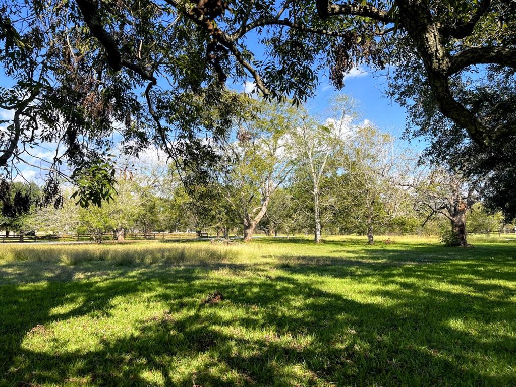 Cougar Drive, Simonton, Texas image 11