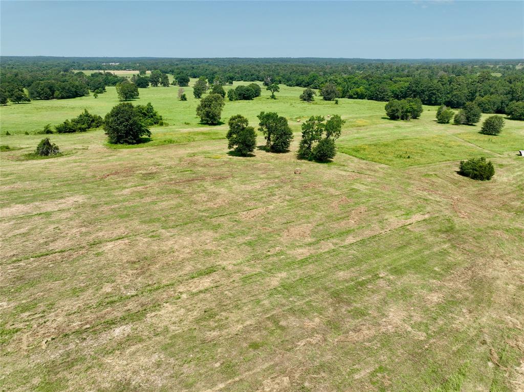 TBD Green Road, Richards, Texas image 2