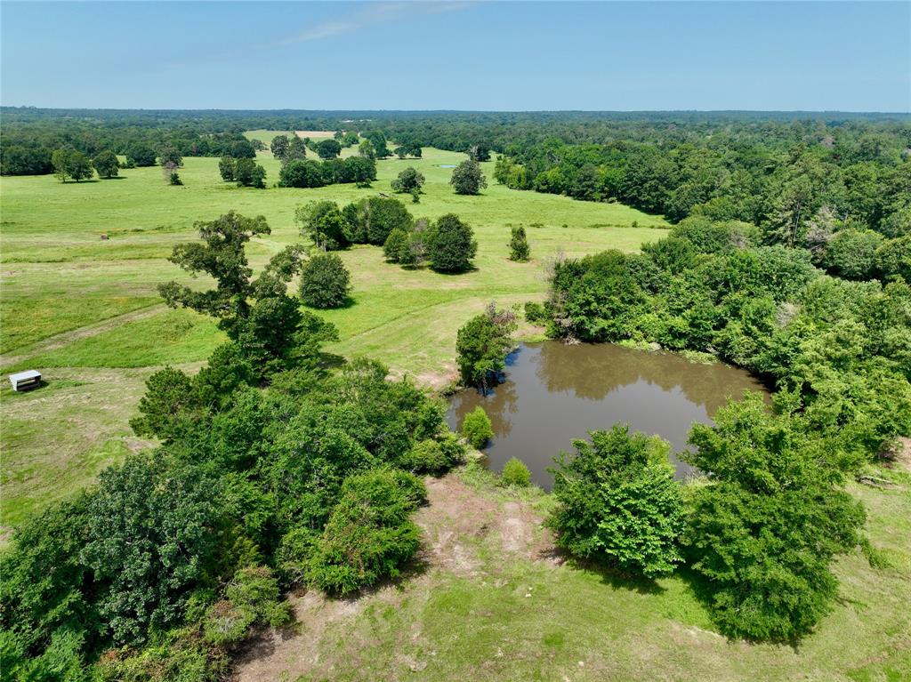 TBD Green Road, Richards, Texas image 3