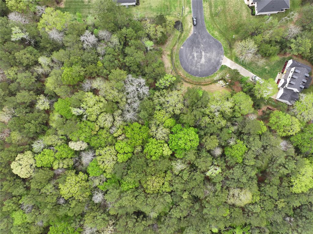 Lot 26 Lauren Lane, Waller, Texas image 5