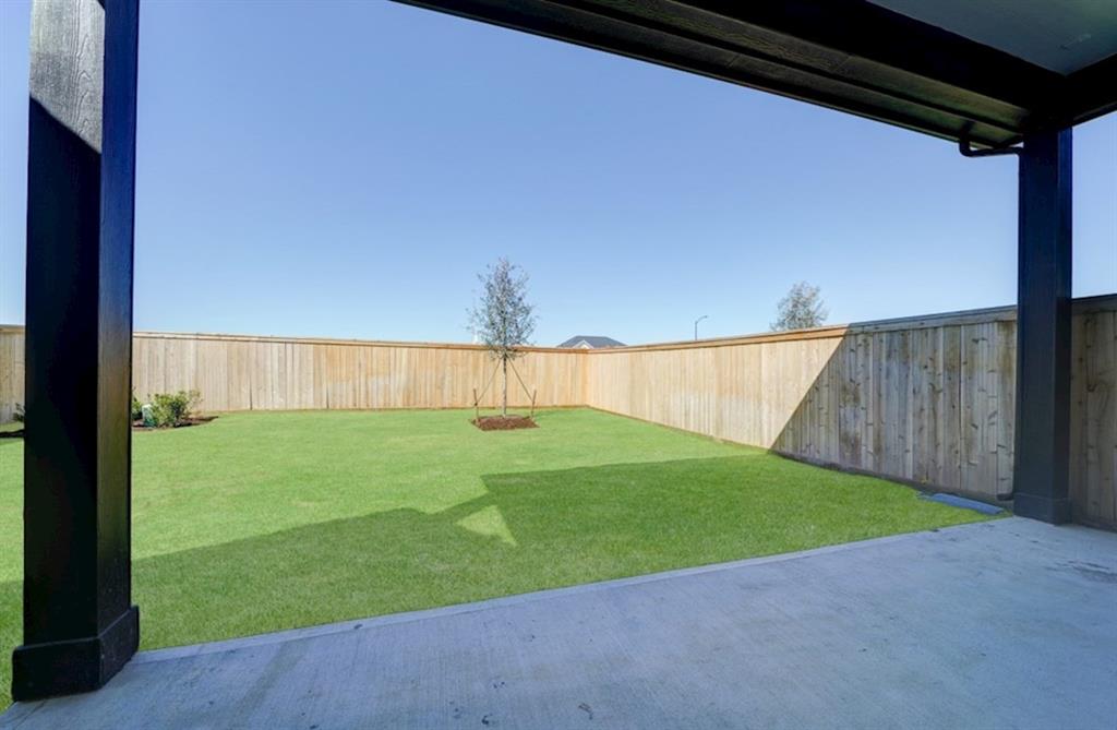 14217 Juniper Breeze Court, Willis, Texas image 10